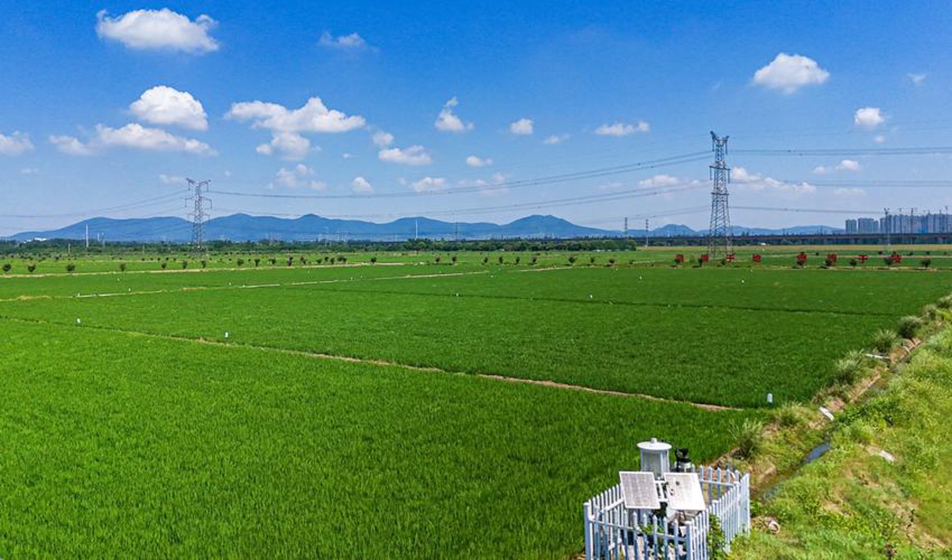 绿阳苗圃